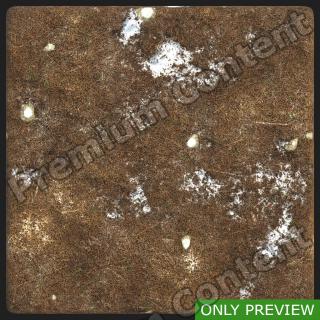 PBR substance preview forest ground snowy 0003